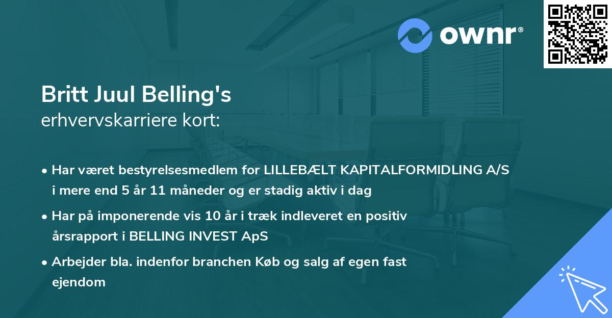 Britt Juul Belling's erhvervskarriere kort