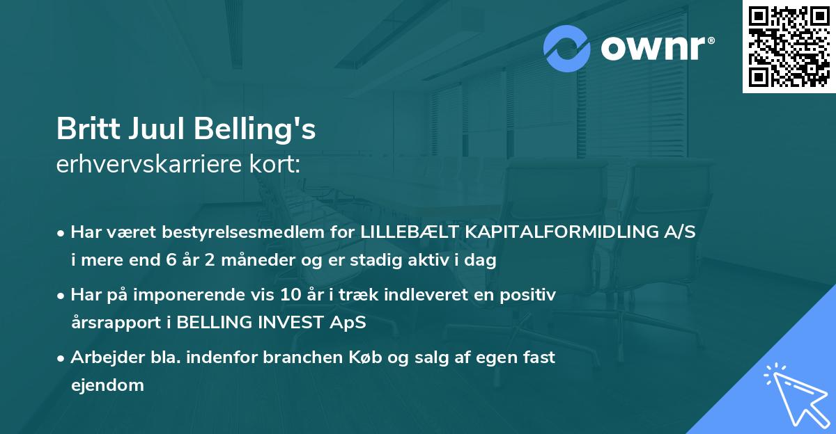Britt Juul Belling's erhvervskarriere kort
