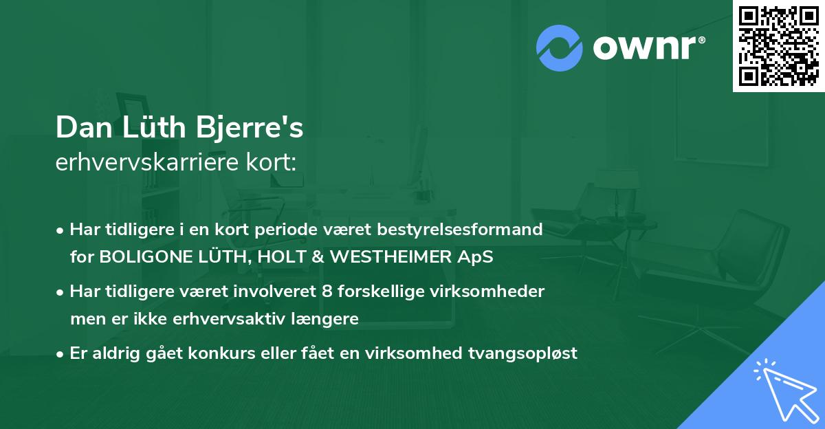 Dan Lüth Bjerre's erhvervskarriere kort