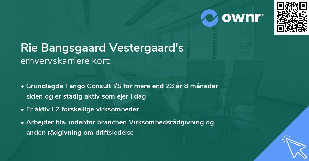 Rie Bangsgaard Vestergaard's erhvervskarriere kort