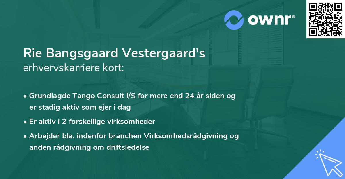 Rie Bangsgaard Vestergaard's erhvervskarriere kort