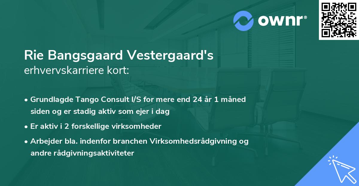 Rie Bangsgaard Vestergaard's erhvervskarriere kort