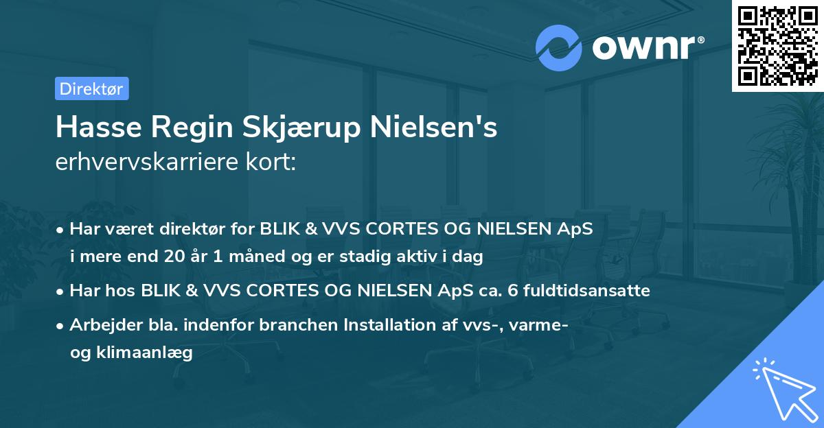 Hasse Regin Skjærup Nielsen's erhvervskarriere kort