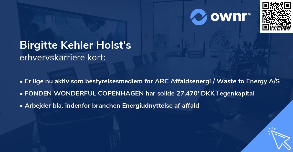 Birgitte Kehler Holst's erhvervskarriere kort