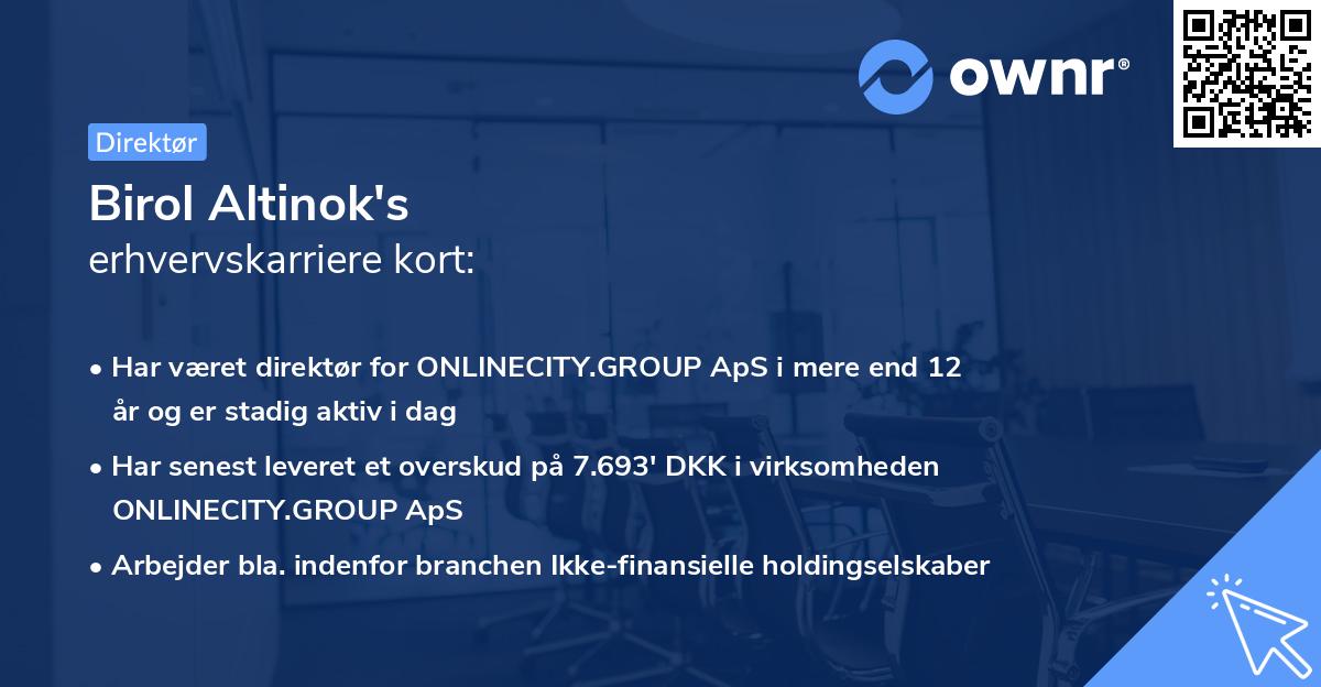 Birol Altinok's erhvervskarriere kort