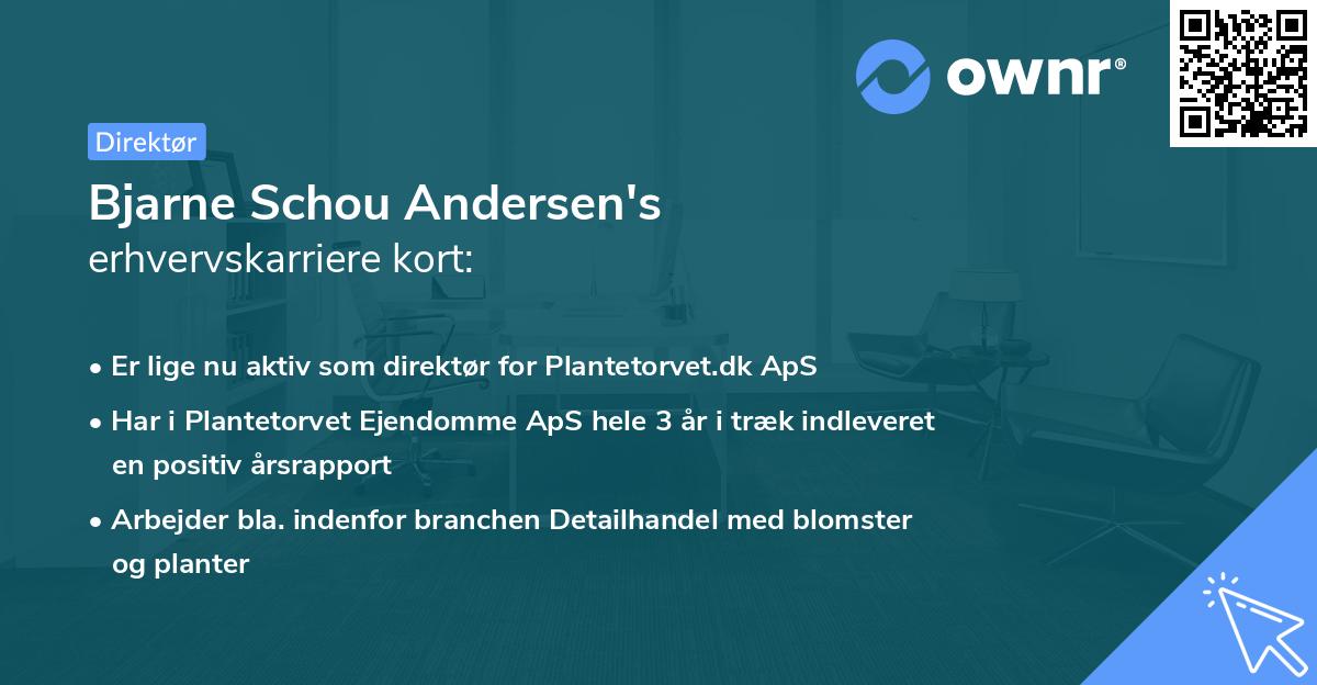 Bjarne Schou Andersen's erhvervskarriere kort