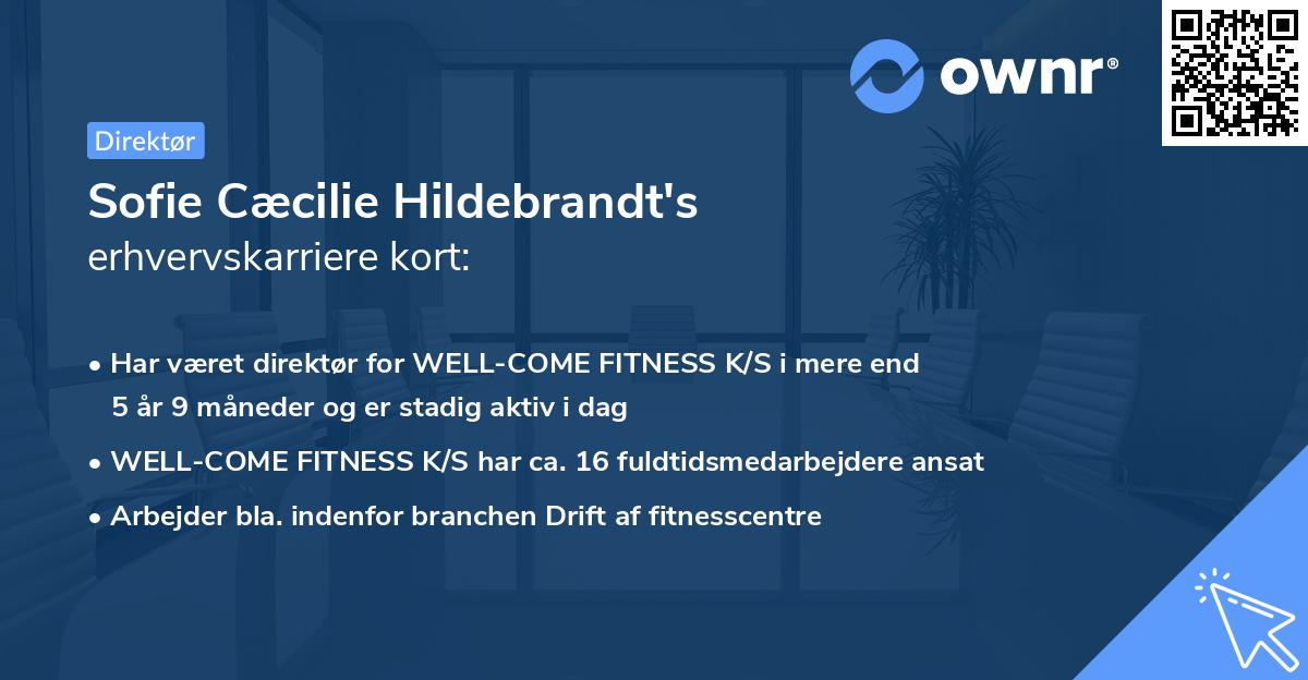 Sofie Cæcilie Hildebrandt's erhvervskarriere kort