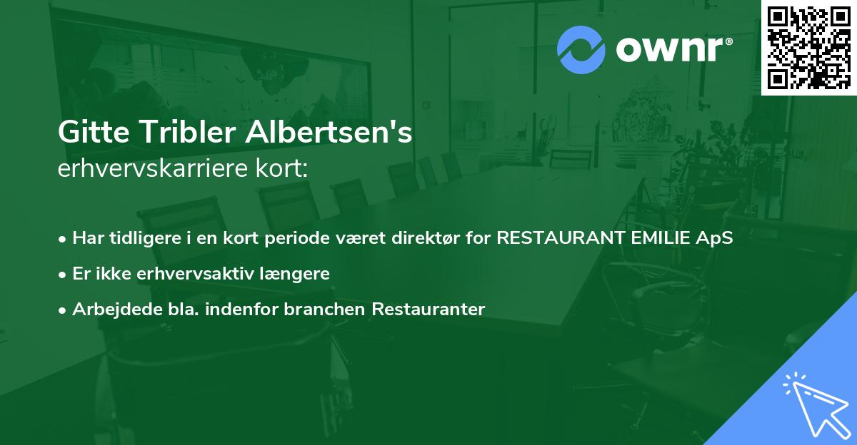 Gitte Tribler Albertsen's erhvervskarriere kort