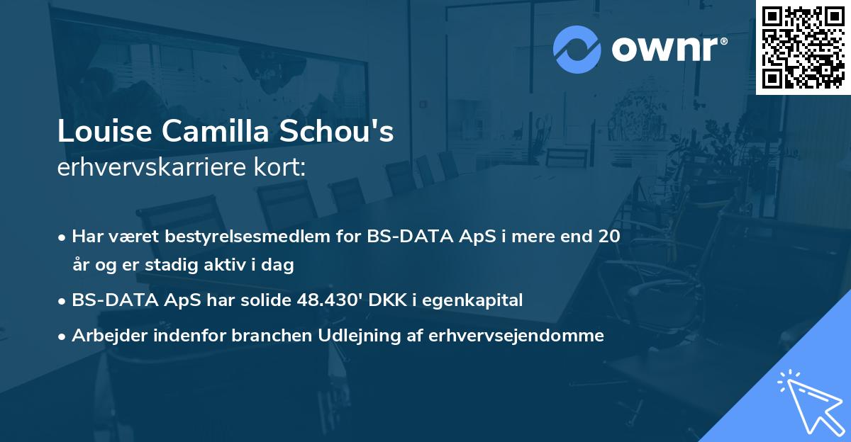 Louise Camilla Schou's erhvervskarriere kort