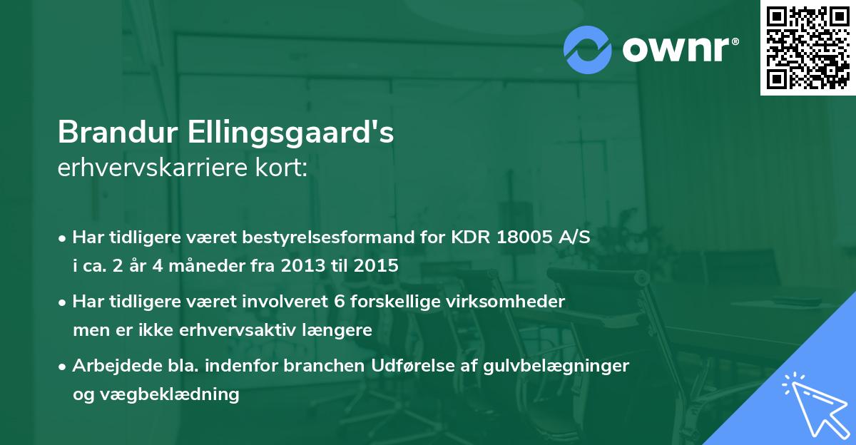 Brandur Ellingsgaard's erhvervskarriere kort