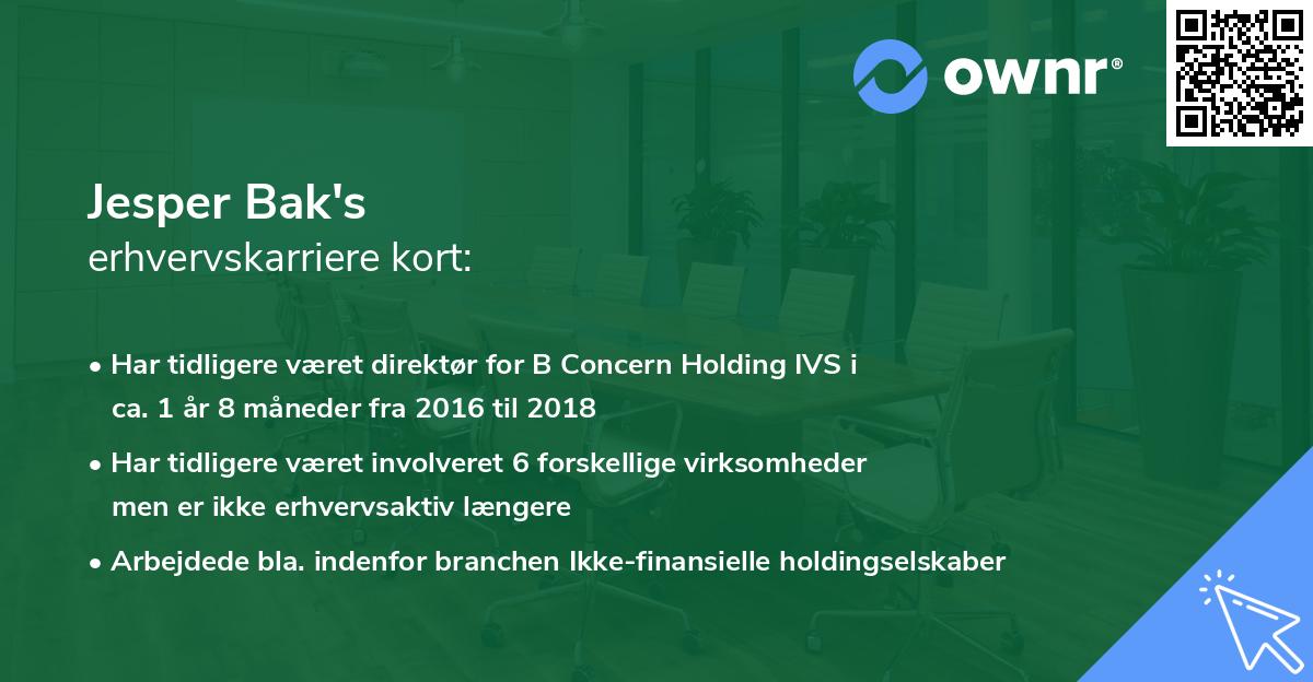 Jesper Bak's erhvervskarriere kort