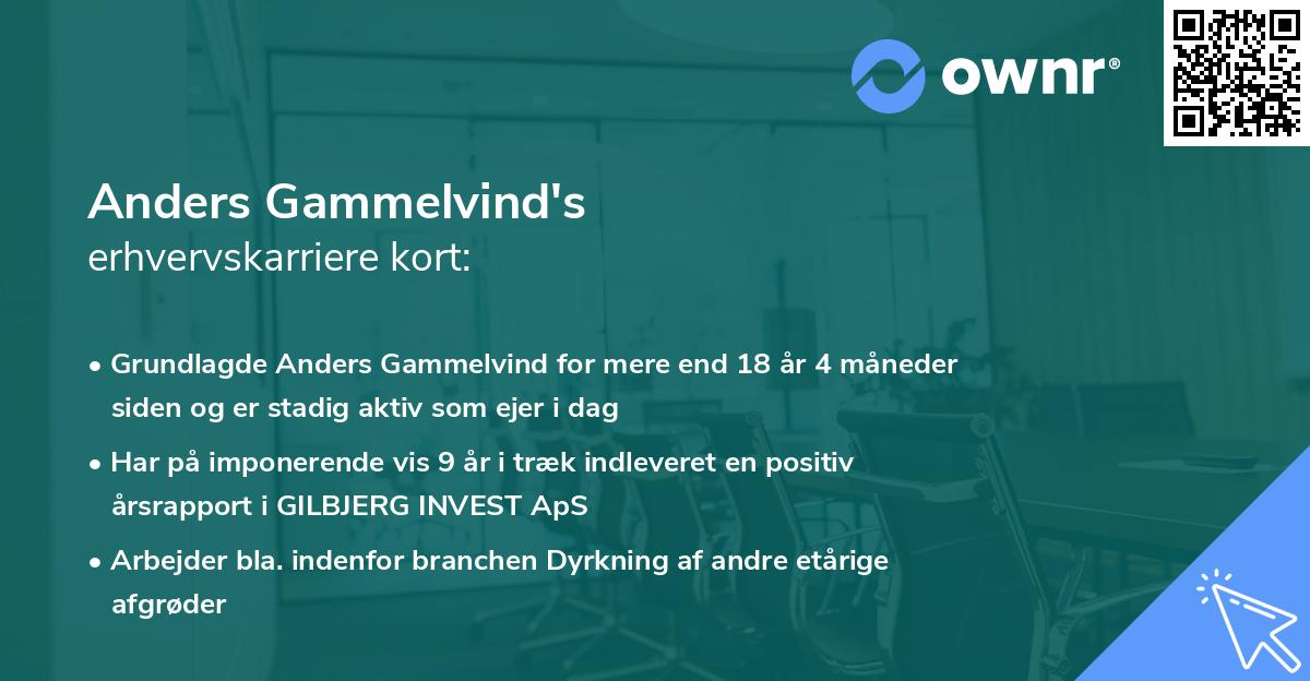 Anders Gammelvind's erhvervskarriere kort