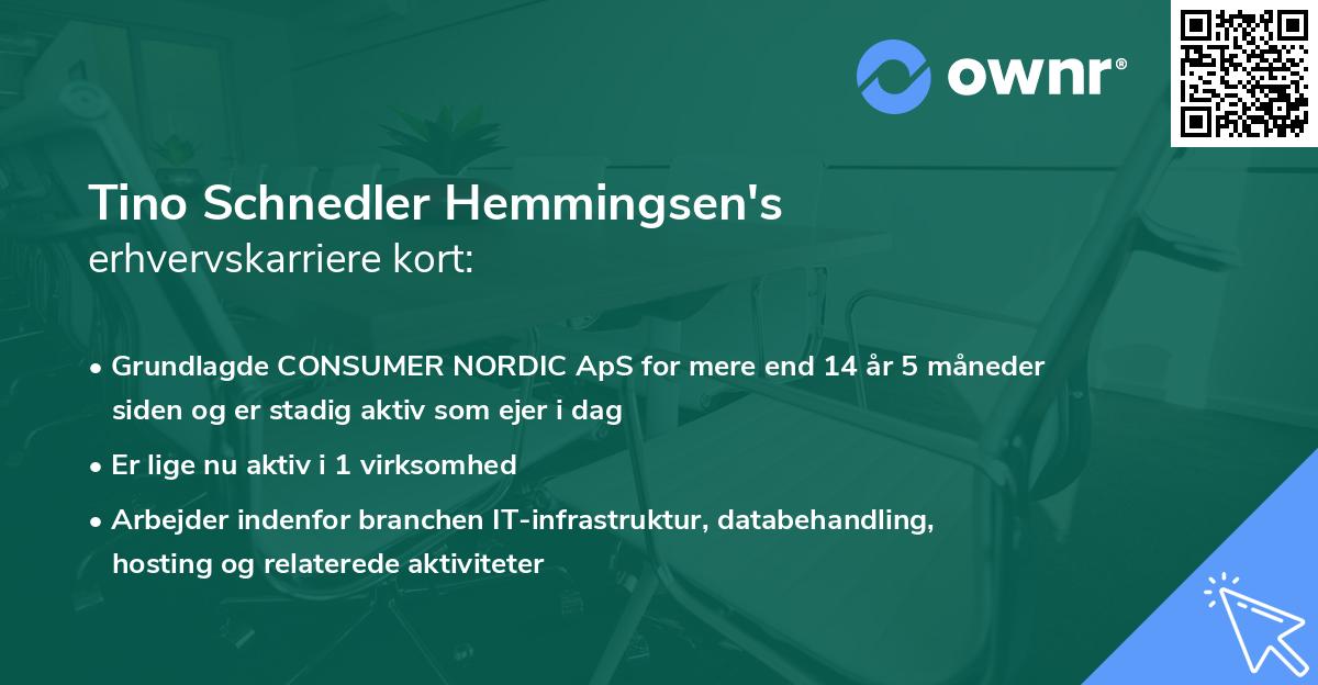 Tino Schnedler Hemmingsen's erhvervskarriere kort