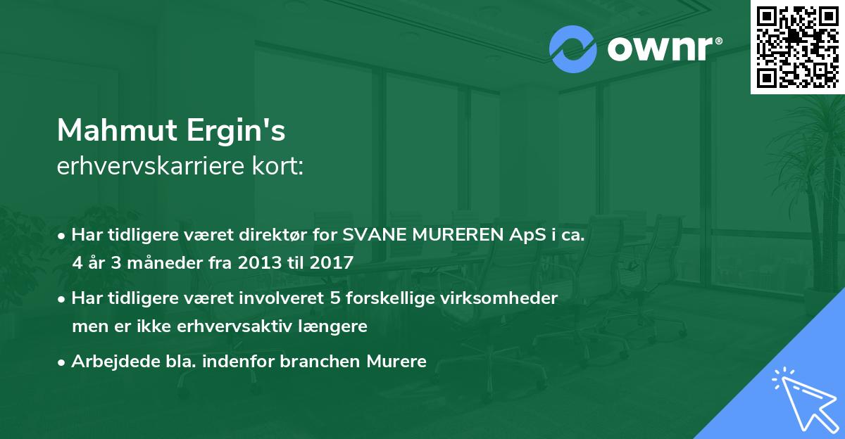 Mahmut Ergin's erhvervskarriere kort