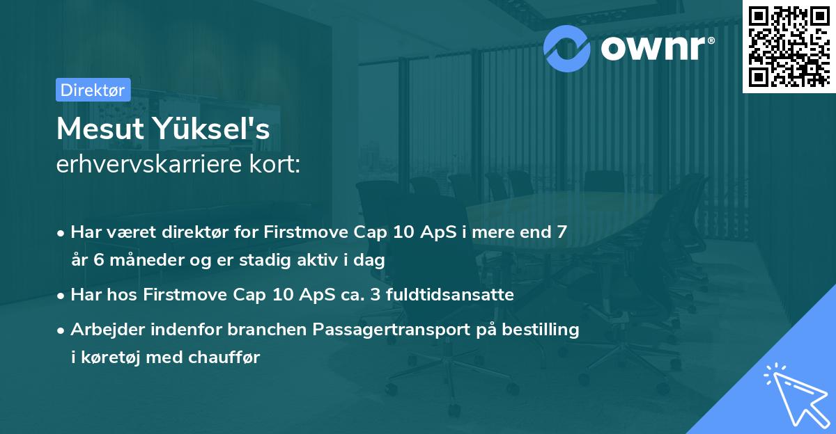 Mesut Yüksel's erhvervskarriere kort