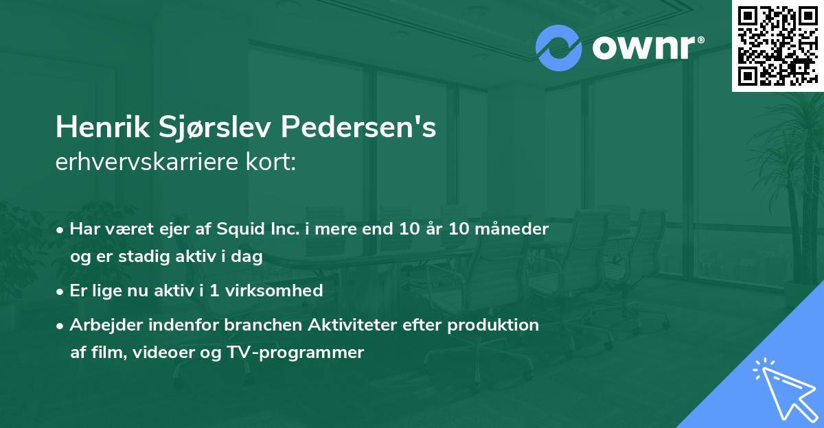 Henrik Sjørslev Pedersen's erhvervskarriere kort