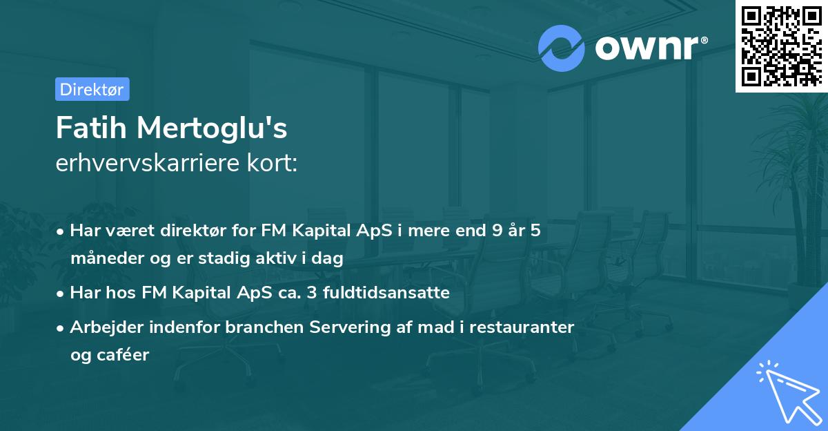 Fatih Mertoglu's erhvervskarriere kort