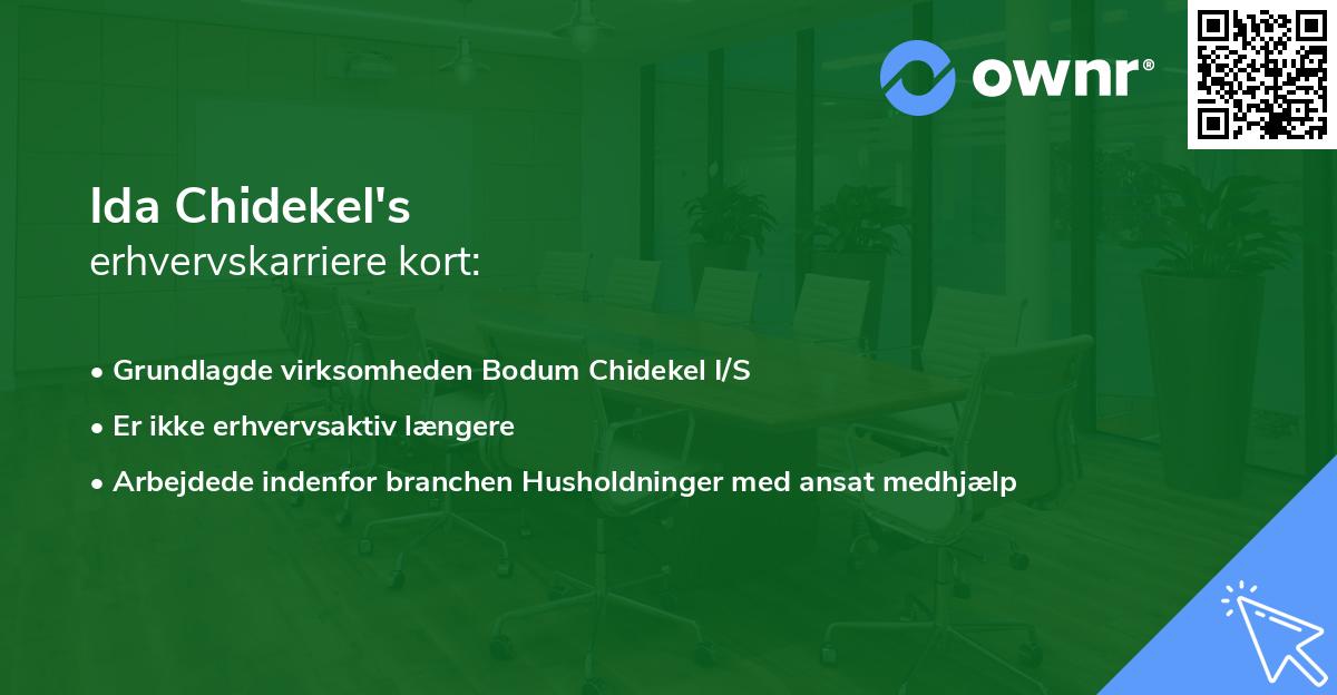 Ida Chidekel's erhvervskarriere kort