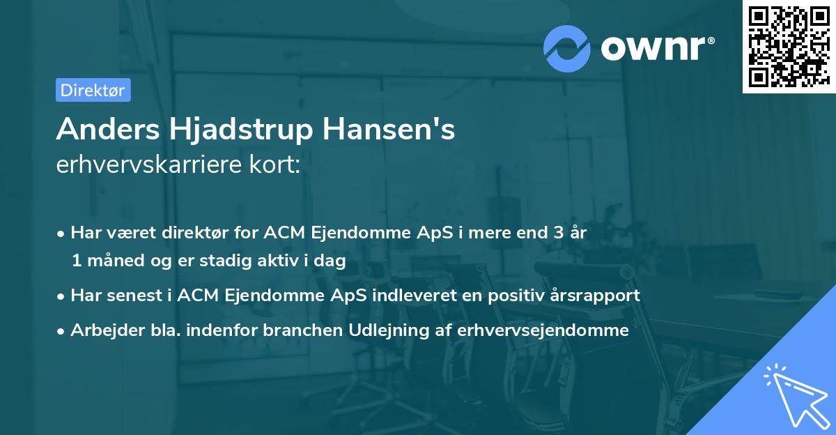 Anders Hjadstrup Hansen's erhvervskarriere kort