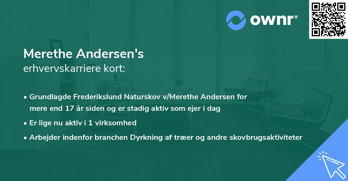 Merethe Andersen's erhvervskarriere kort