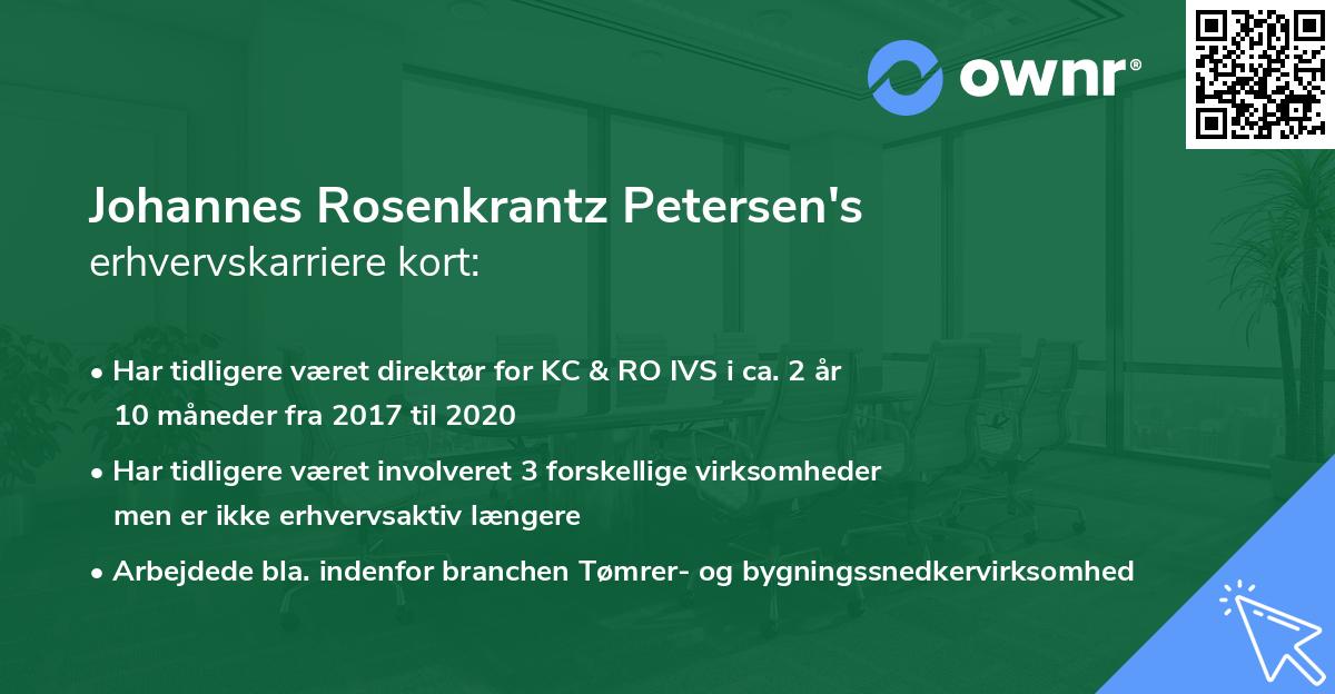 Johannes Rosenkrantz Petersen's erhvervskarriere kort