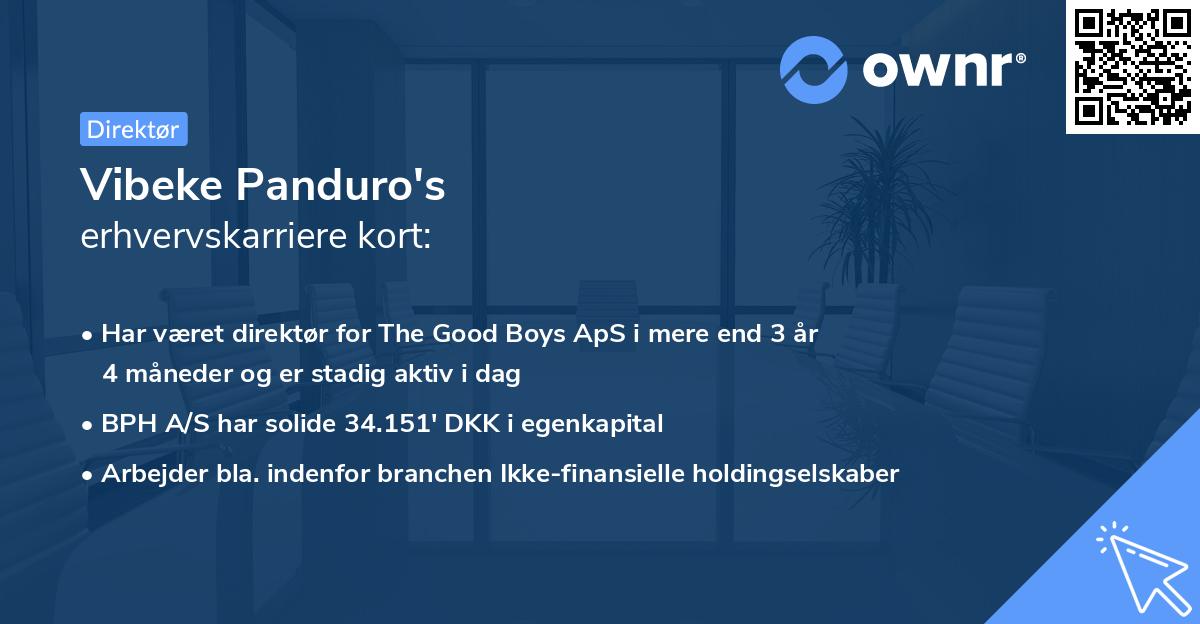 Vibeke Panduro's erhvervskarriere kort
