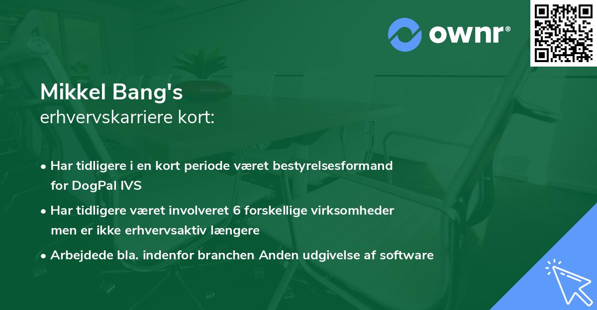 Mikkel Bang's erhvervskarriere kort