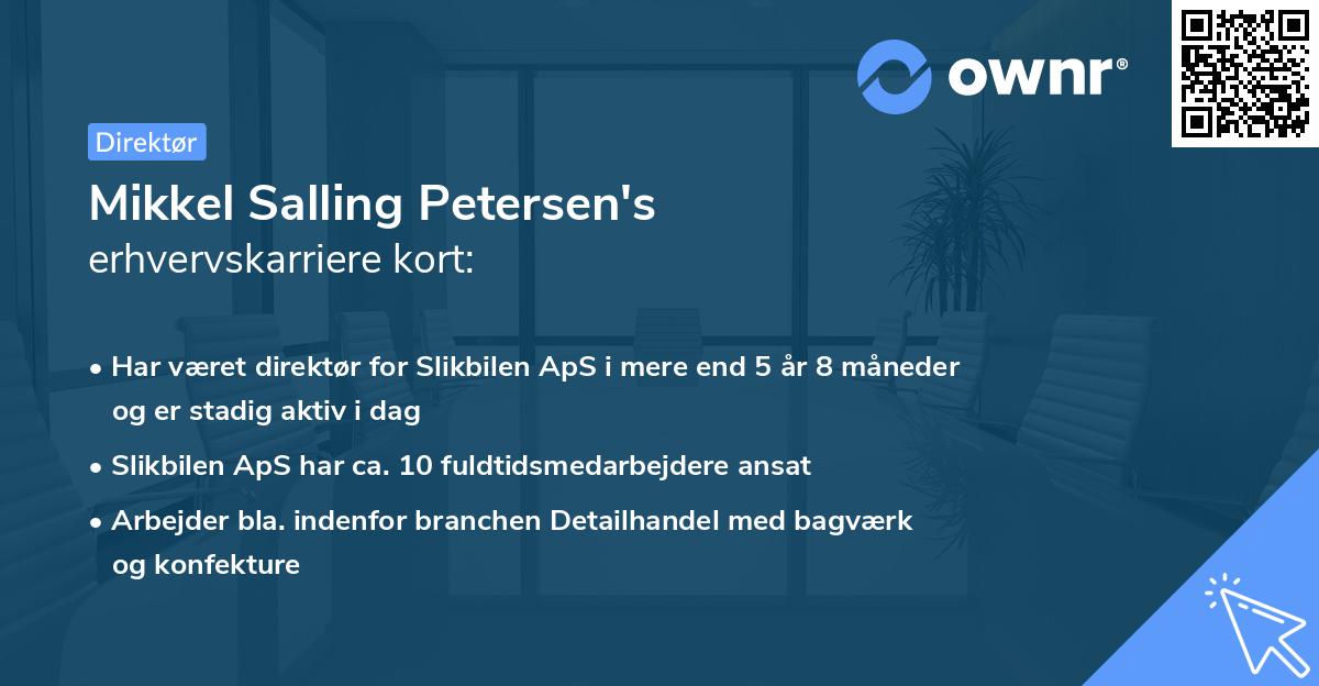 Mikkel Salling Petersen's erhvervskarriere kort