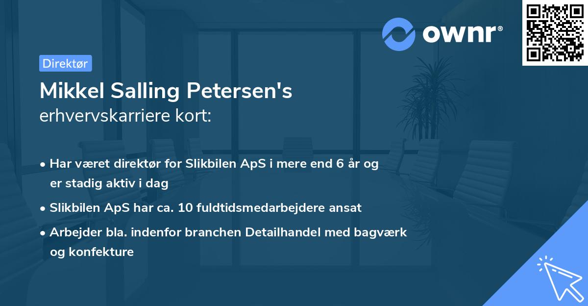 Mikkel Salling Petersen's erhvervskarriere kort