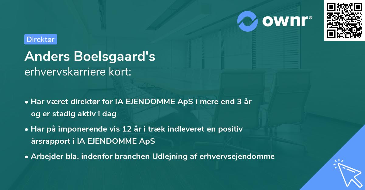 Anders Boelsgaard's erhvervskarriere kort