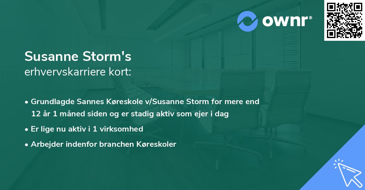 Susanne Storm's erhvervskarriere kort