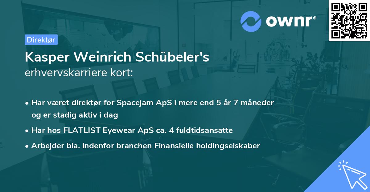 Kasper Weinrich Schübeler's erhvervskarriere kort