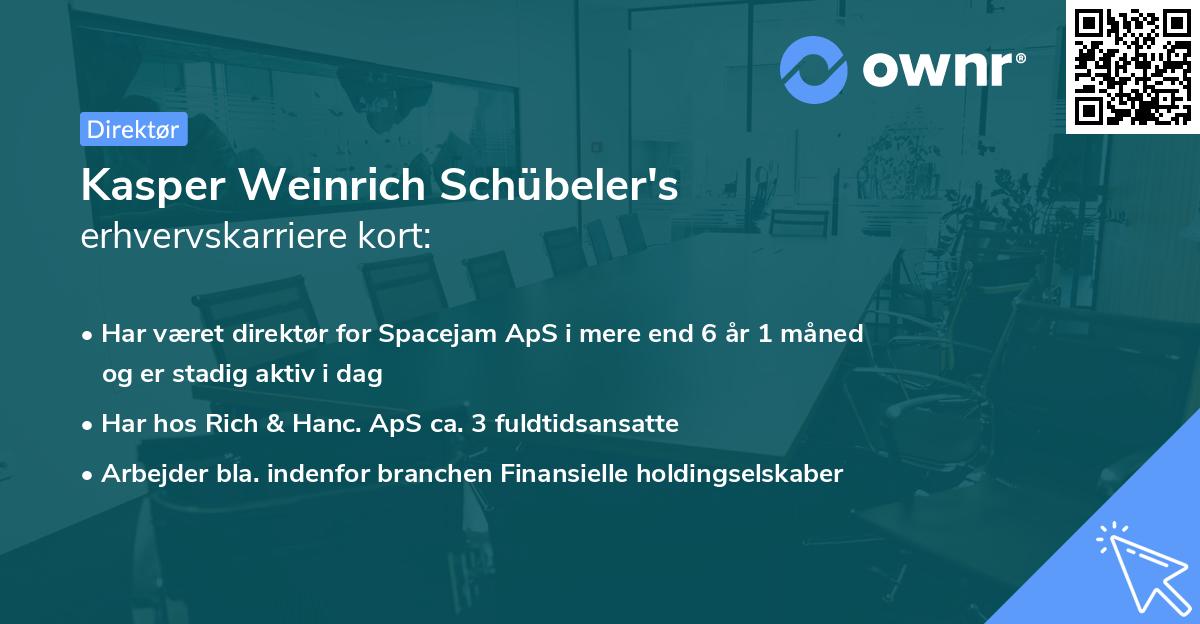 Kasper Weinrich Schübeler's erhvervskarriere kort