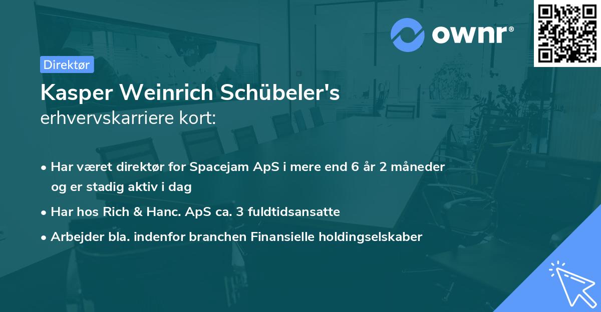 Kasper Weinrich Schübeler's erhvervskarriere kort
