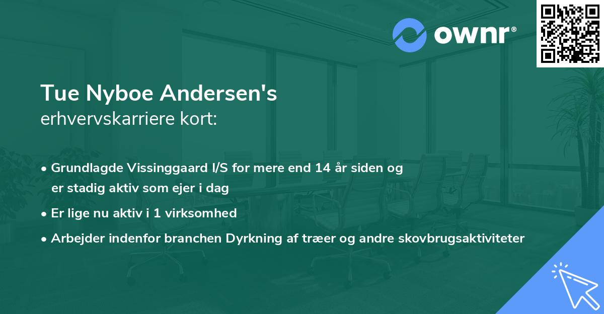 Tue Nyboe Andersen's erhvervskarriere kort