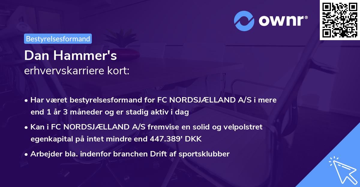 Dan Hammer's erhvervskarriere kort