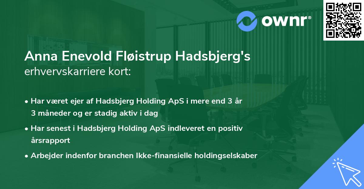 Anna Enevold Fløistrup Hadsbjerg's erhvervskarriere kort