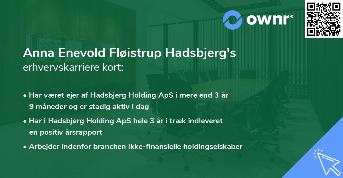 Anna Enevold Fløistrup Hadsbjerg's erhvervskarriere kort