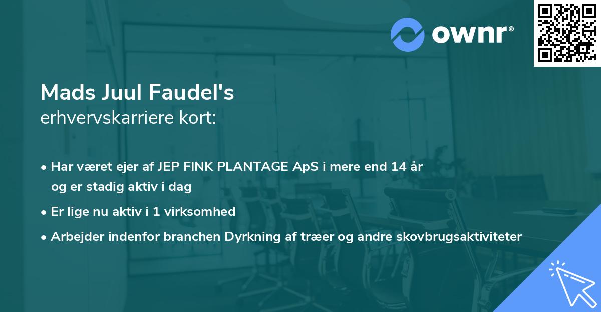 Mads Juul Faudel's erhvervskarriere kort