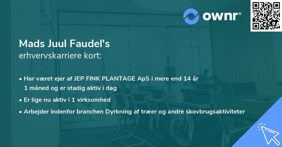 Mads Juul Faudel's erhvervskarriere kort