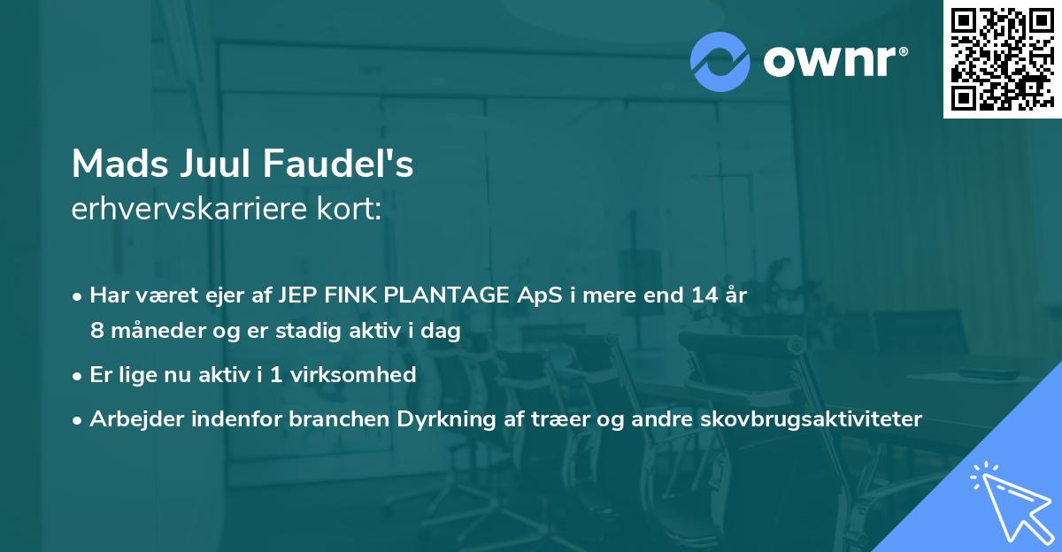 Mads Juul Faudel's erhvervskarriere kort