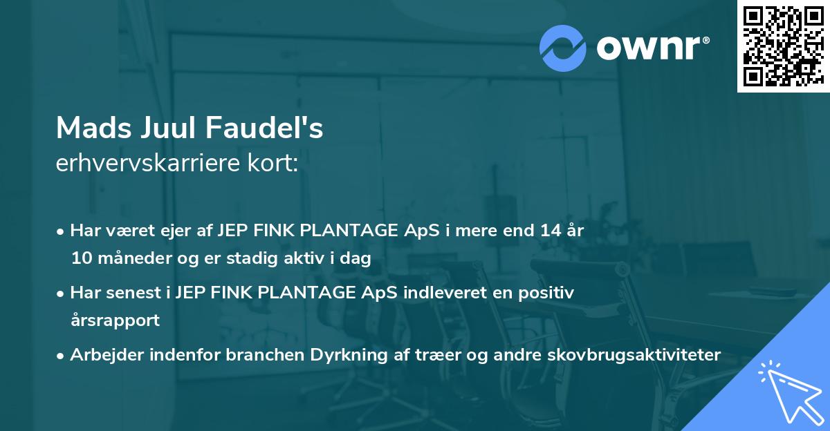 Mads Juul Faudel's erhvervskarriere kort