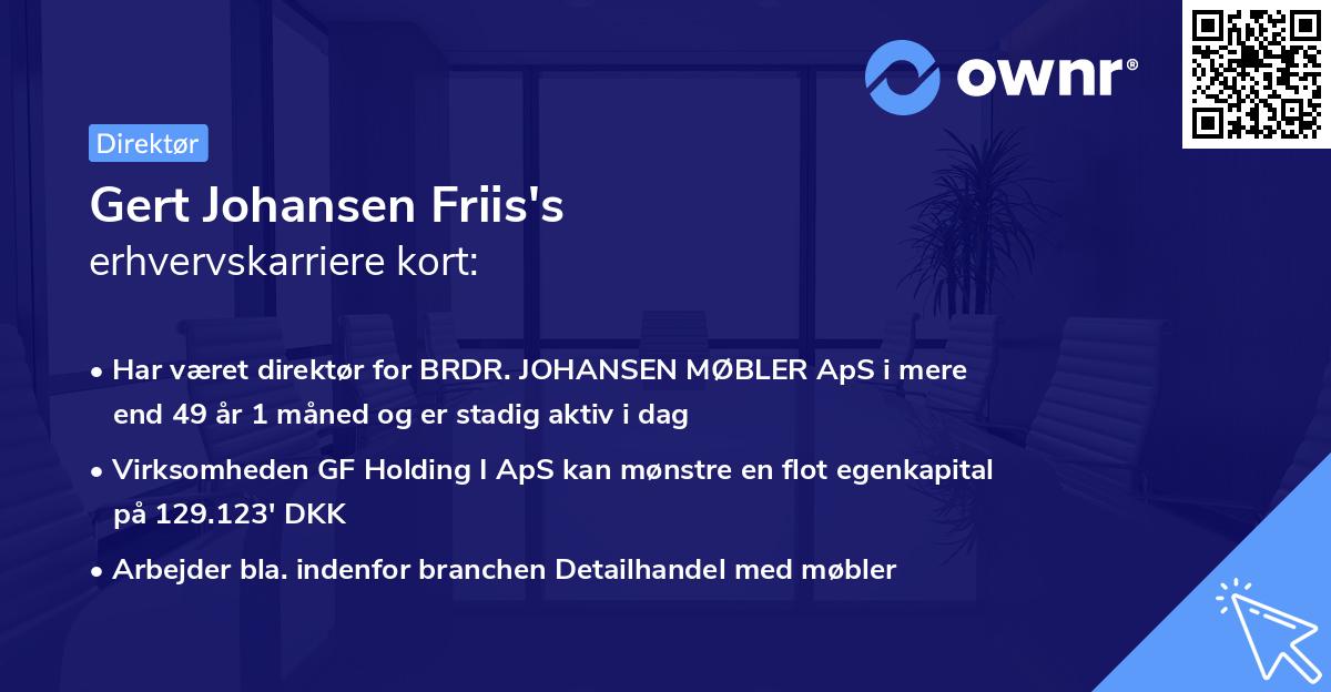 Gert Johansen Friis's erhvervskarriere kort