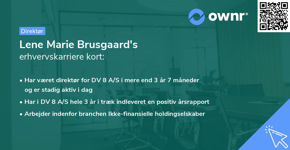 Lene Marie Brusgaard's erhvervskarriere kort