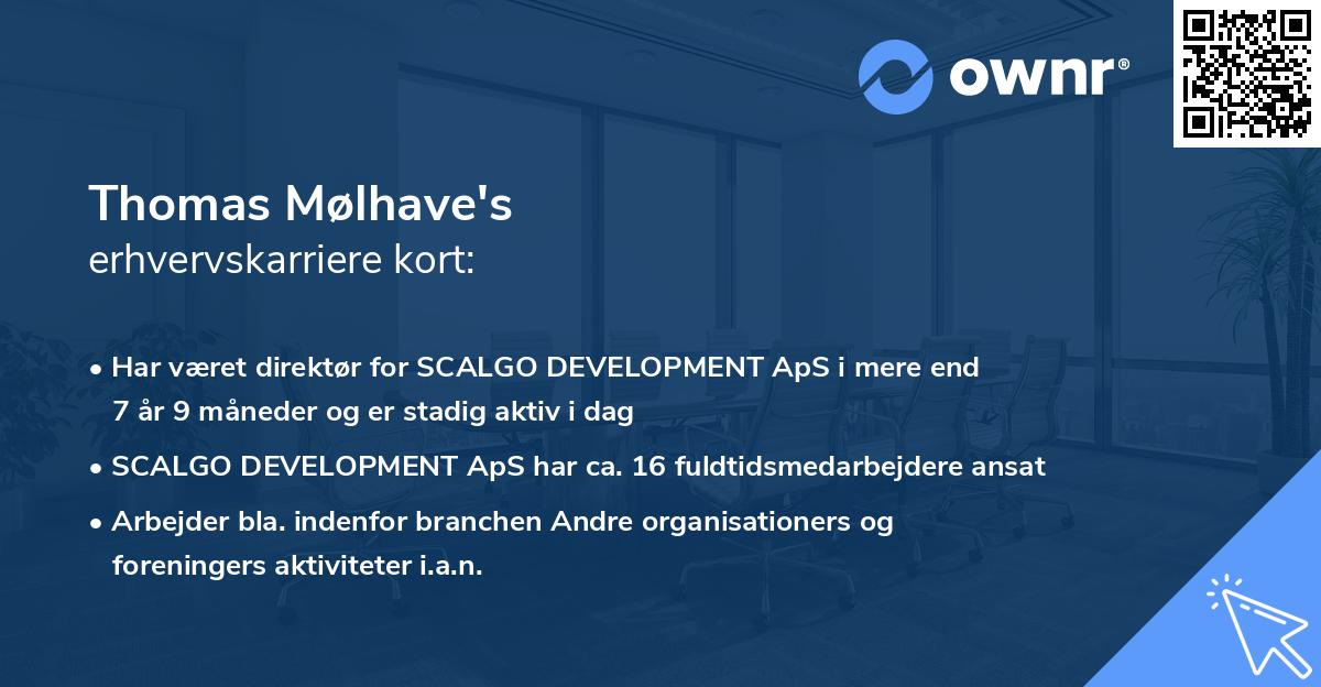 Thomas Mølhave's erhvervskarriere kort