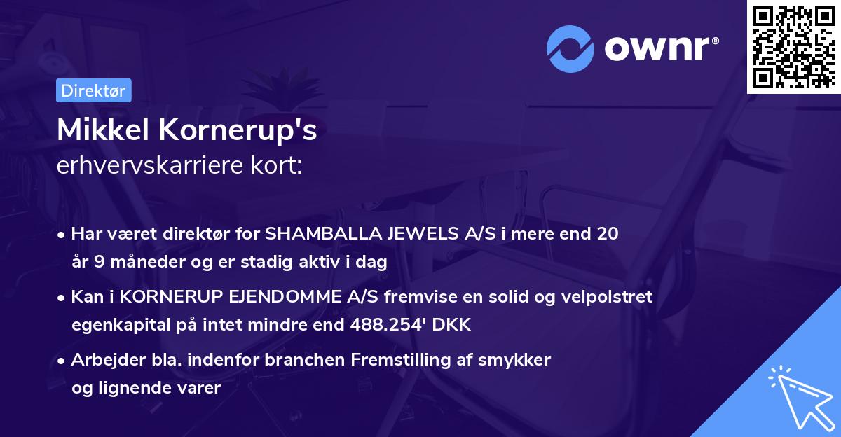 Mikkel Kornerup's erhvervskarriere kort