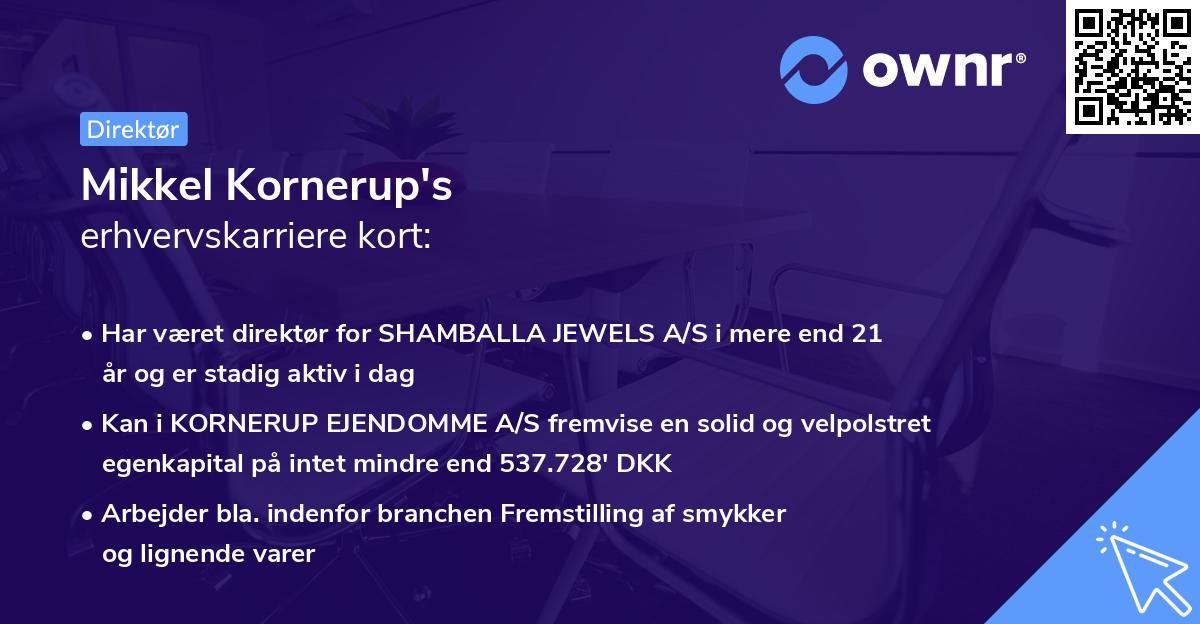 Mikkel Kornerup's erhvervskarriere kort