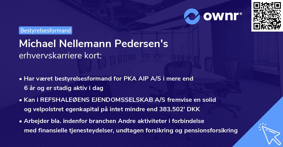 Michael Nellemann Pedersen's erhvervskarriere kort