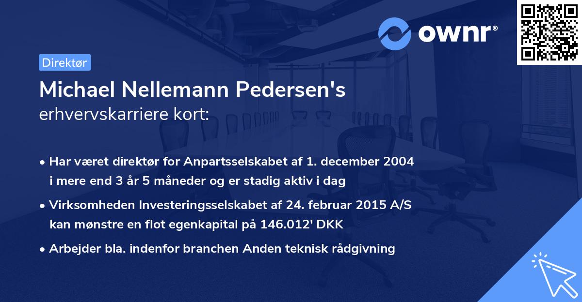 Michael Nellemann Pedersen's erhvervskarriere kort