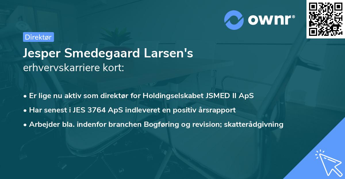 Jesper Smedegaard Larsen's erhvervskarriere kort